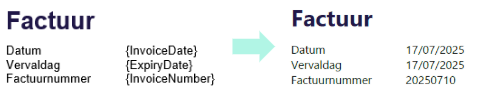 2025-07-17 10_41_15-Invulvelden examples - Google Slides.png